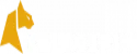 Felix Spin